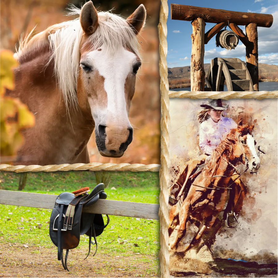 Ranches, Rodeos and Horses