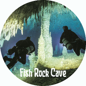 Cave Diving