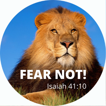 Fear Not