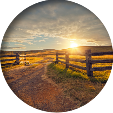 Fences at Sunset