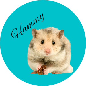 Hamster