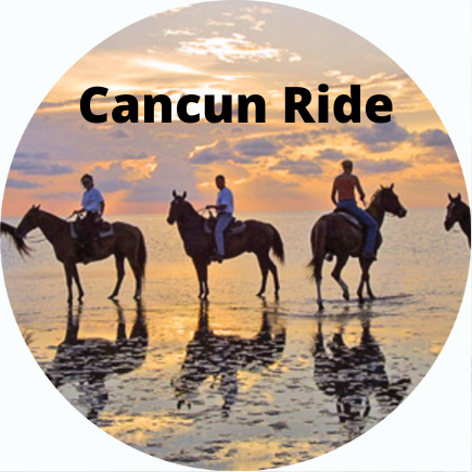 Beach Horseback Riding