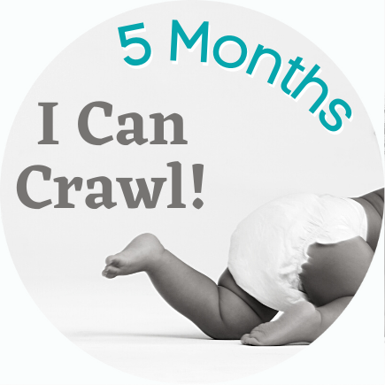 I Can Crawl 1