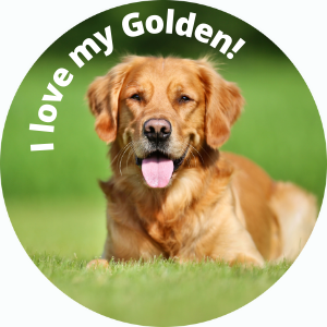 I love my Golden!