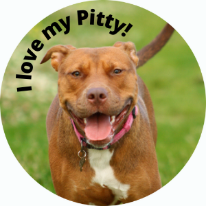 I love my Pitty!