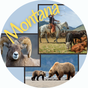 Montana