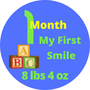 Month Markers - Blocks