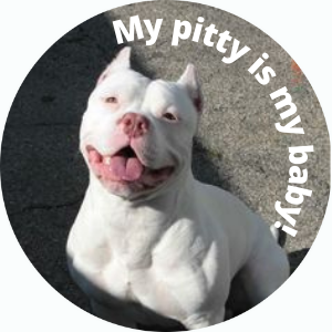 My Pitty is my Baby!