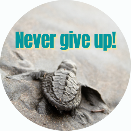 Never Give Up Turtle