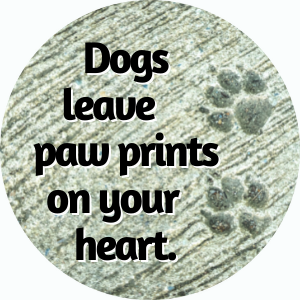 Paw prints