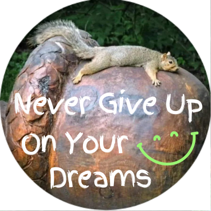 Never Give Up Squirrel